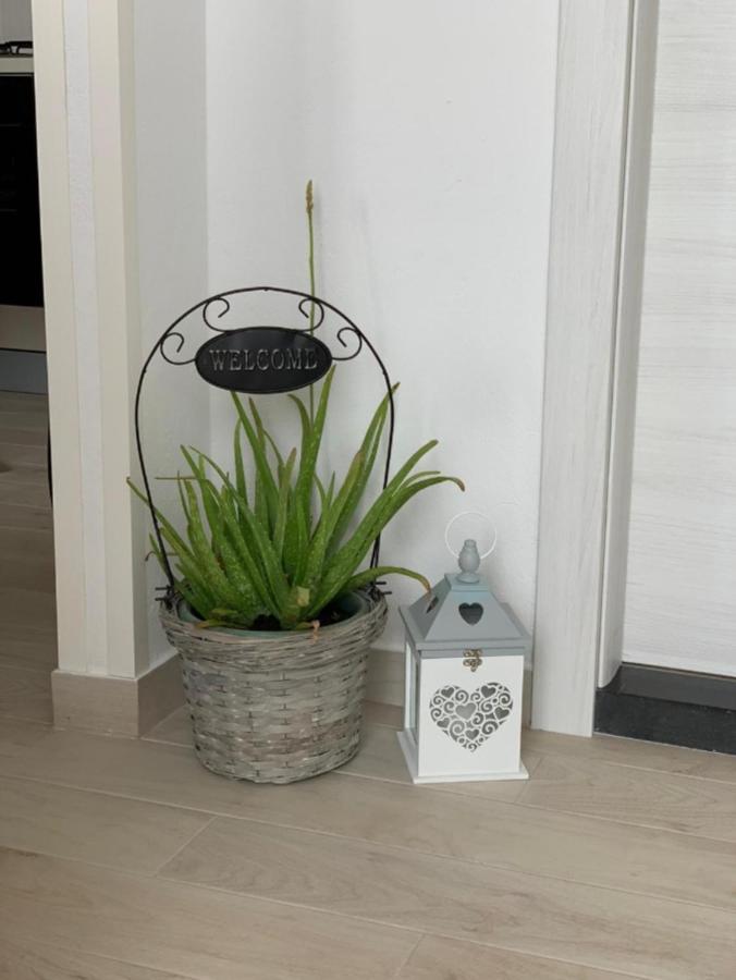 Apartment Salov Trogir Room photo